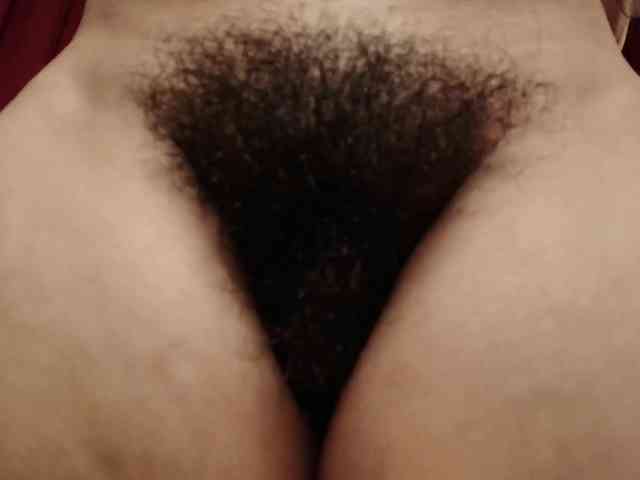Alice-blaker webcam