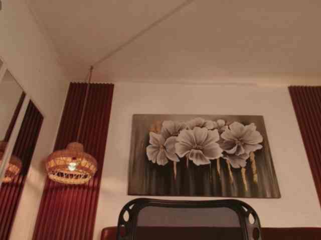 Alice-blaker webcam