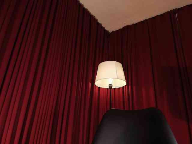 Alice-blaker webcam