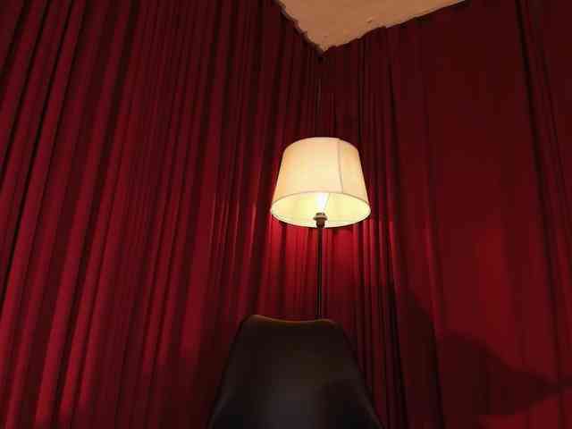 Alice-blaker webcam