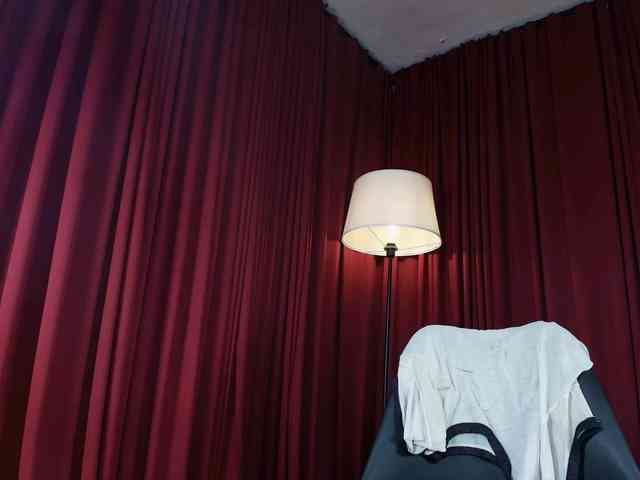 Alice-blaker webcam