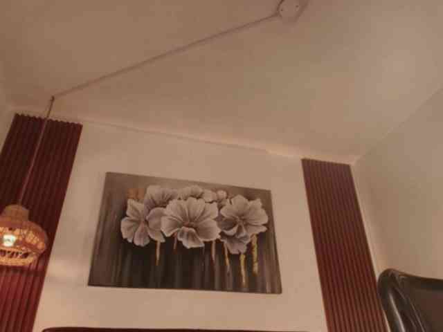 Alice-blaker webcam