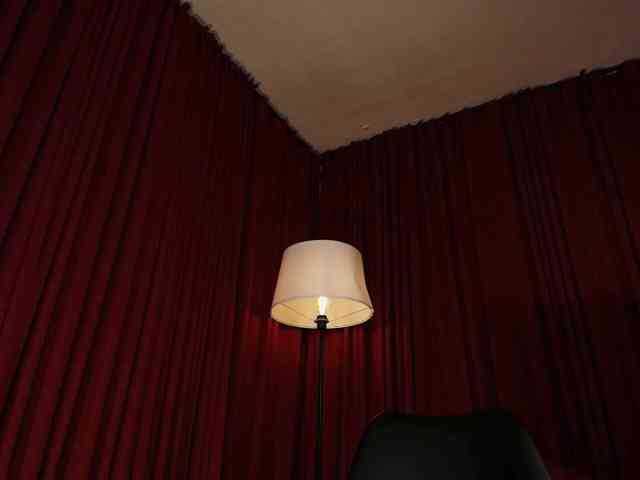 Alice-blaker webcam