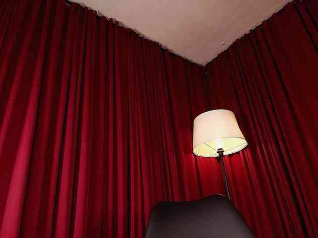 Alice-blaker webcam