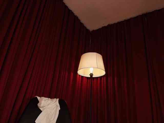 Alice-blaker webcam