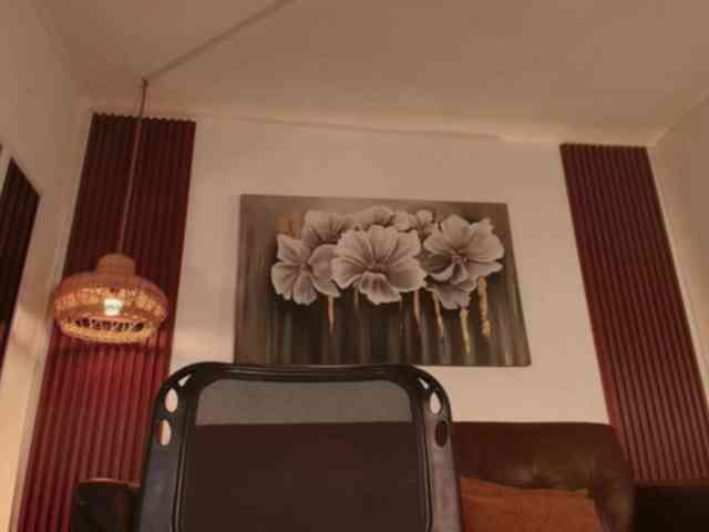 Alice-blaker webcam