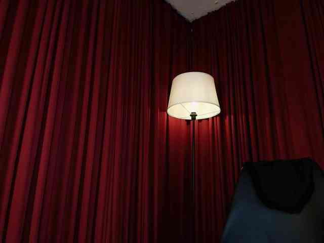Alice-blaker webcam