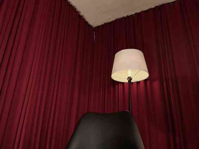 Alice-blaker webcam