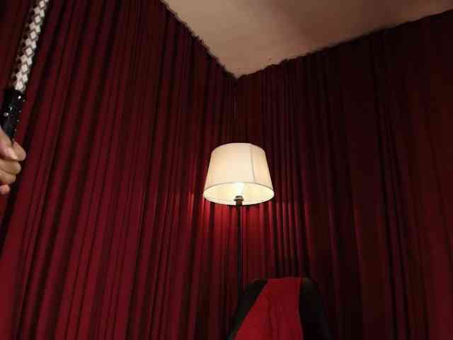 Alice-blaker webcam