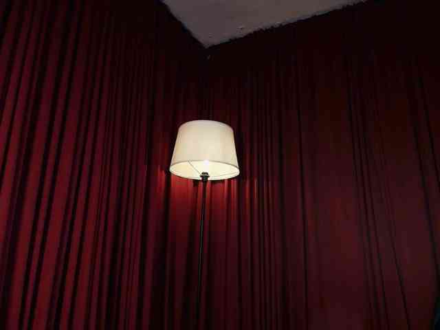 Alice-blaker webcam