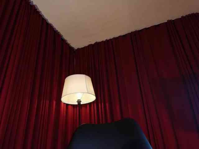 Alice-blaker webcam