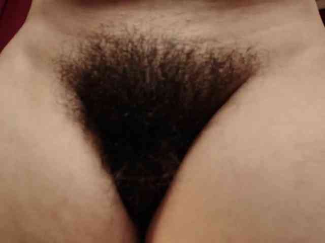 Alice-blaker webcam