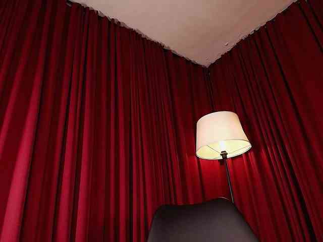 Alice-blaker webcam