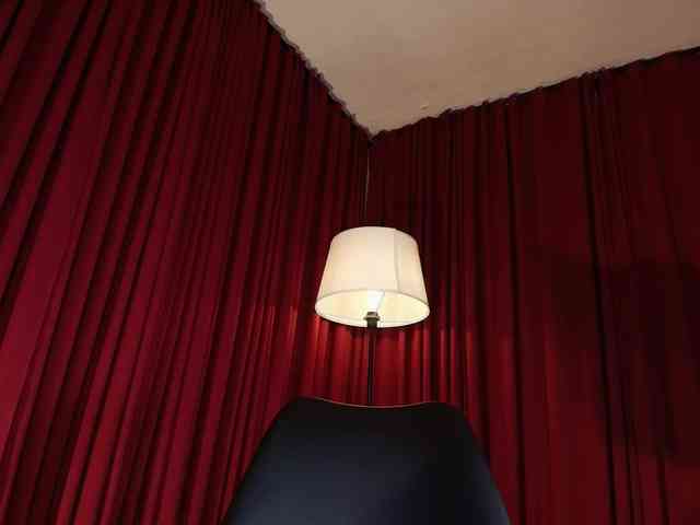 Alice-blaker webcam