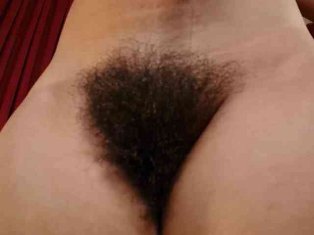 Alice-blaker webcam