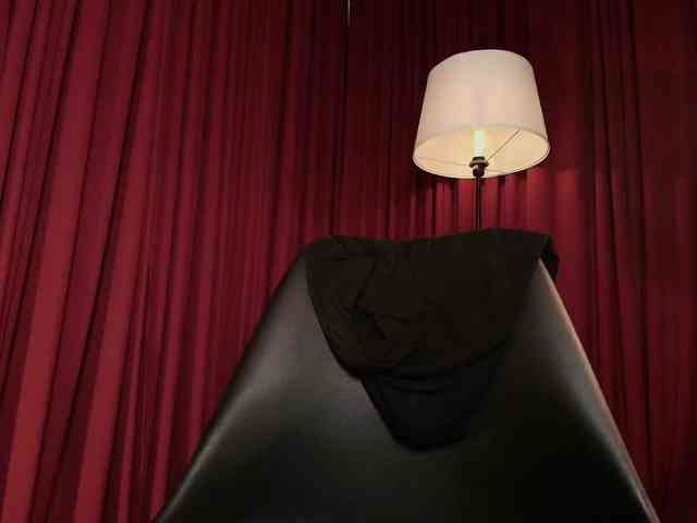 Alice-blaker webcam