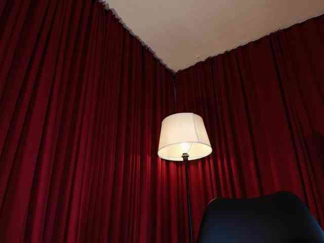Alice-blaker webcam