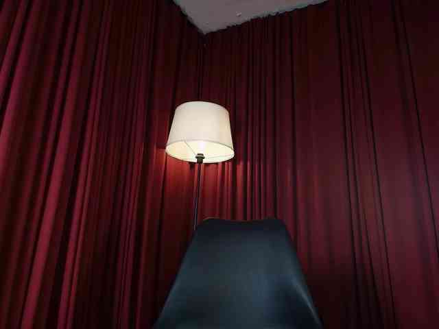 Alice-blaker webcam