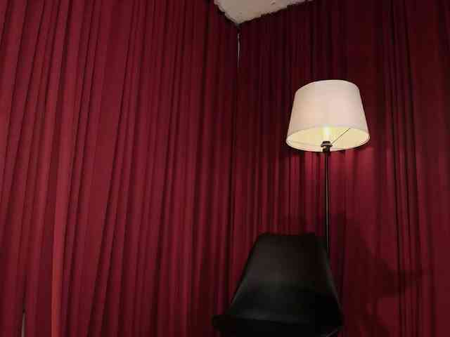 Alice-blaker webcam