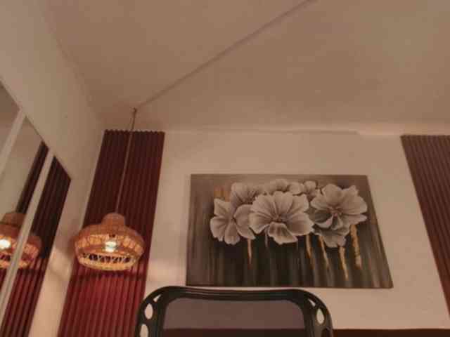 Alice-blaker webcam