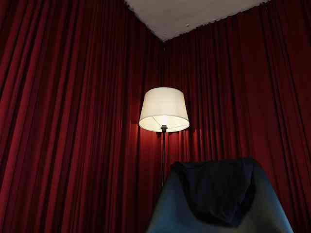 Alice-blaker webcam