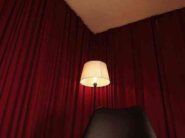 Alice-blaker webcam
