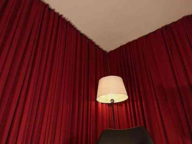 Alice-blaker webcam