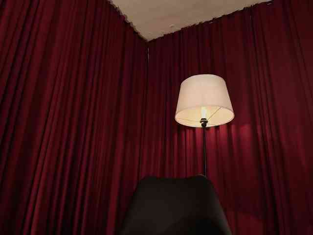 Alice-blaker webcam