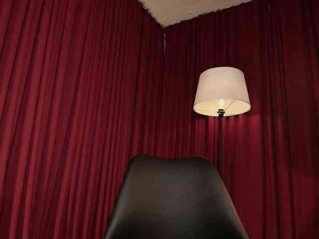 Alice-blaker webcam