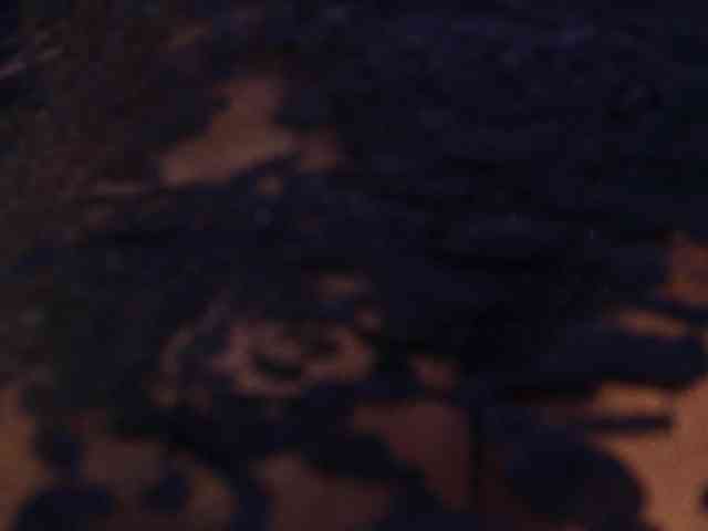 Alice-blaker webcam
