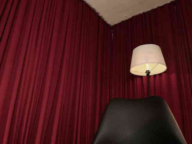 Alice-blaker webcam
