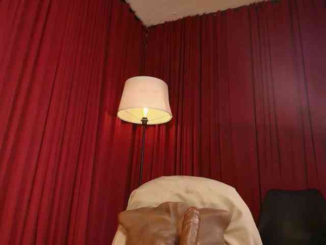 Alice-blaker webcam