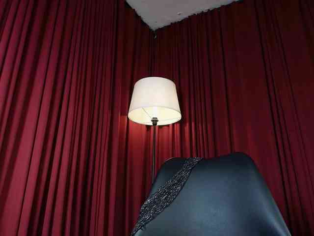 Alice-blaker webcam