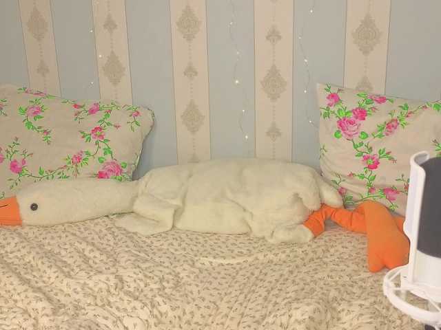 miya-soft live cam on BongaCams