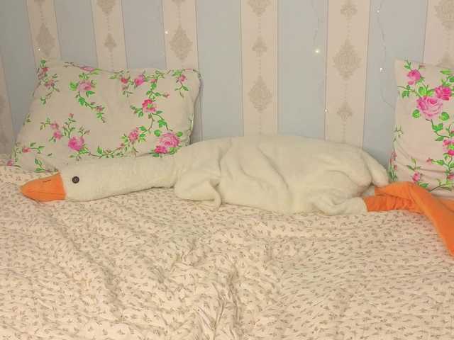miya-soft live cam on BongaCams