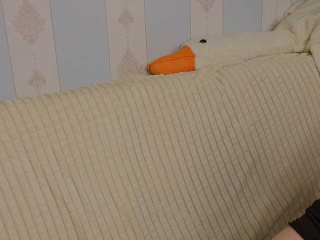 miya-soft