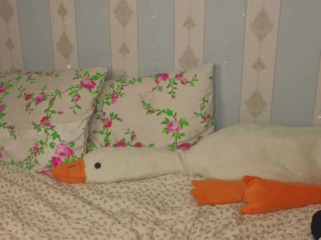 miya-soft