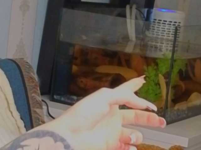 miya-soft live cam on BongaCams