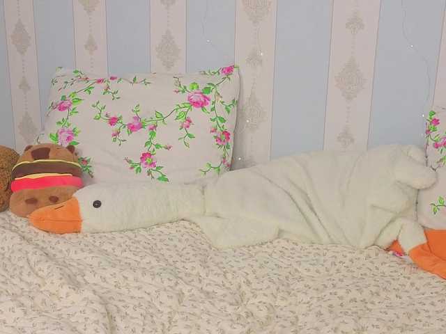 miya-soft live cam on BongaCams