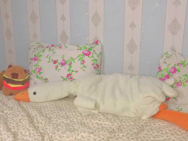 miya-soft live cam on BongaCams