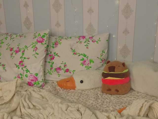 miya-soft