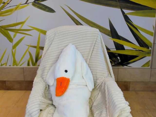 miya-soft live cam on BongaCams