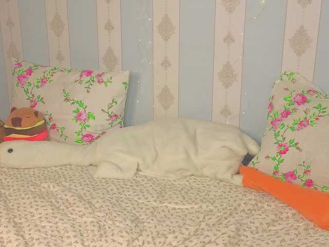 miya-soft live cam on BongaCams