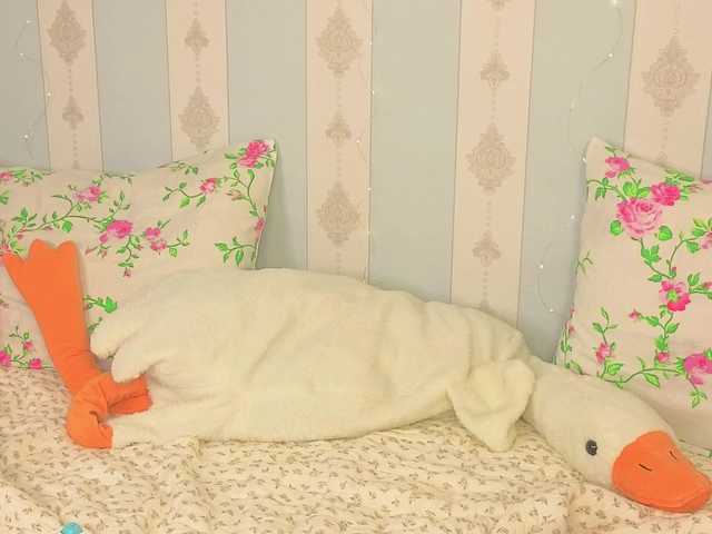 miya-soft live cam on BongaCams