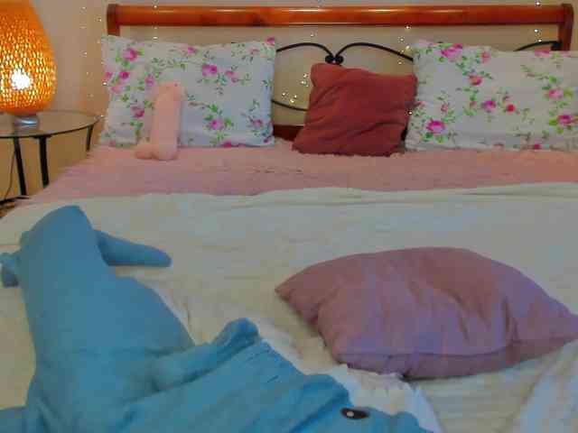 miya-soft webcam