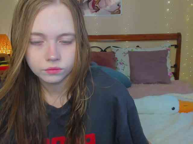 miya-soft webcam