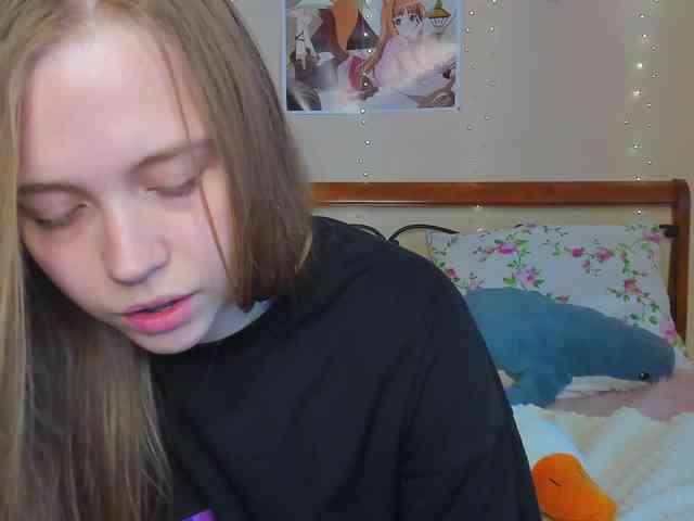 miya-soft webcam