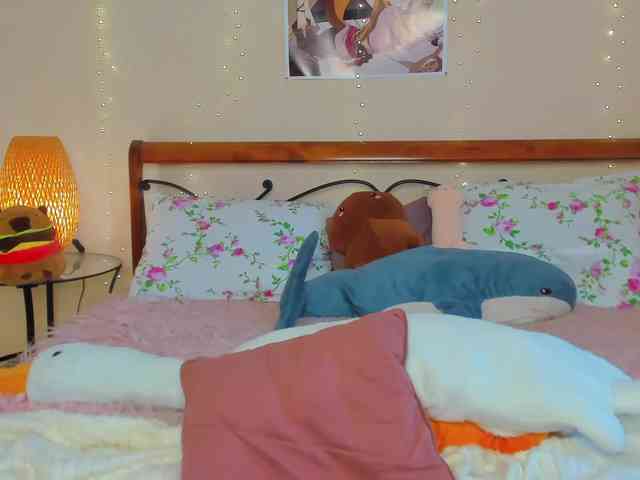 miya-soft webcam