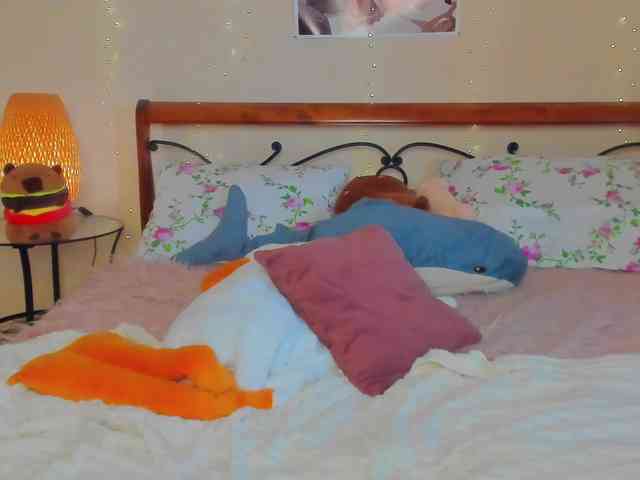 miya-soft webcam