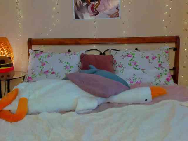 miya-soft webcam
